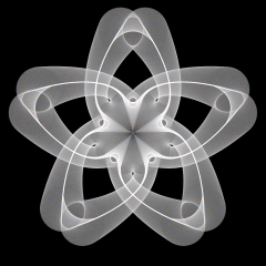 Maurer Polylines Favorites 1