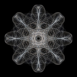 Favorite Maurer Roses and Maurer Polylines